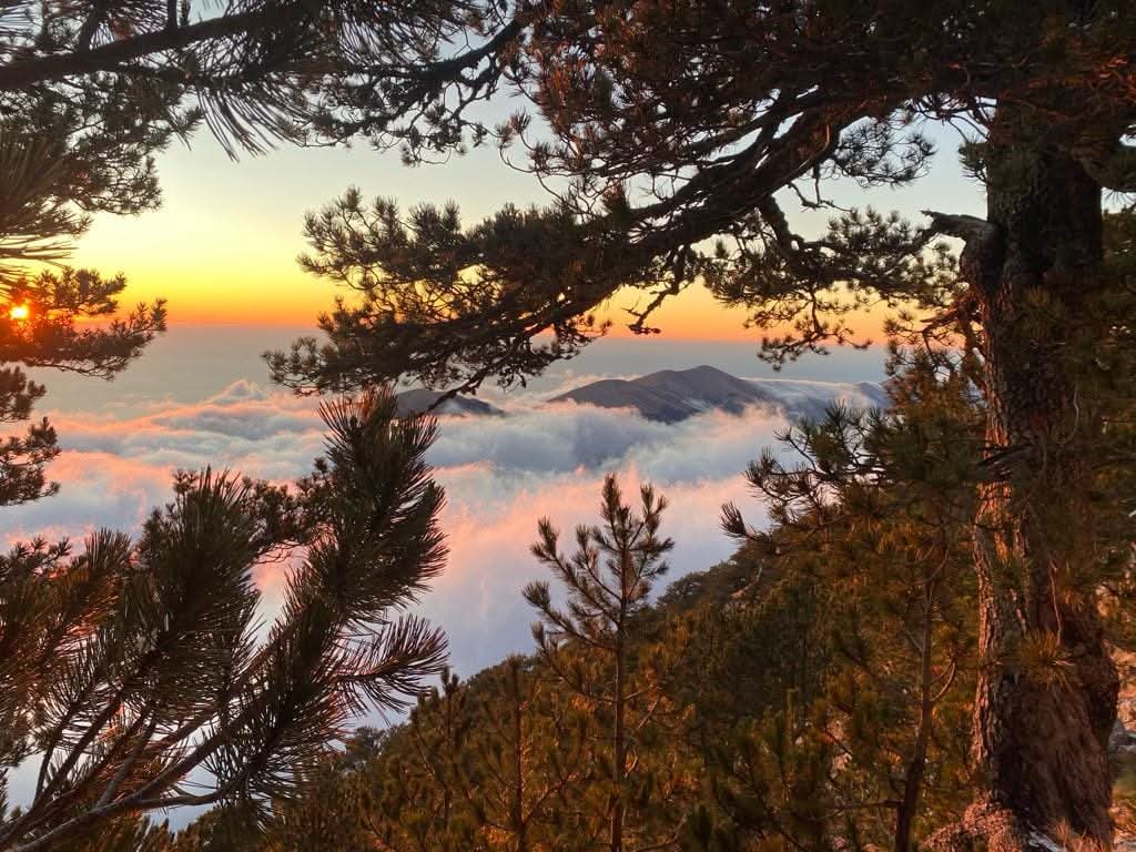 Mount Qorre Hike